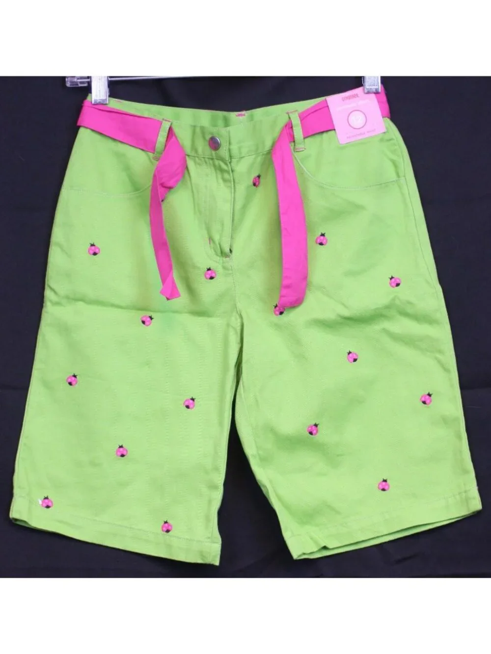 2009 Gymboree Pretty Lady Green Bermuda Shorts sz 12 Embroidered Ladybugs Belt